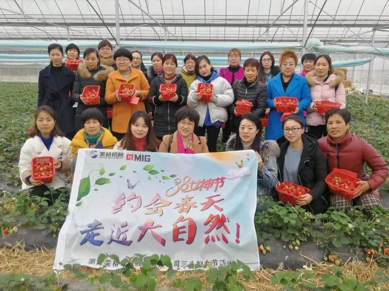 PERGI, mari kita pergi memetik strawberi bersama-sama—— Aktiviti 